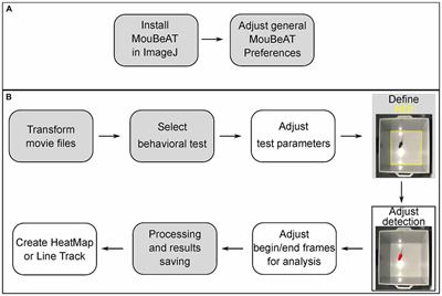 MouBeAT: A New and Open Toolbox for Guided Analysis of Behavioral Tests in Mice